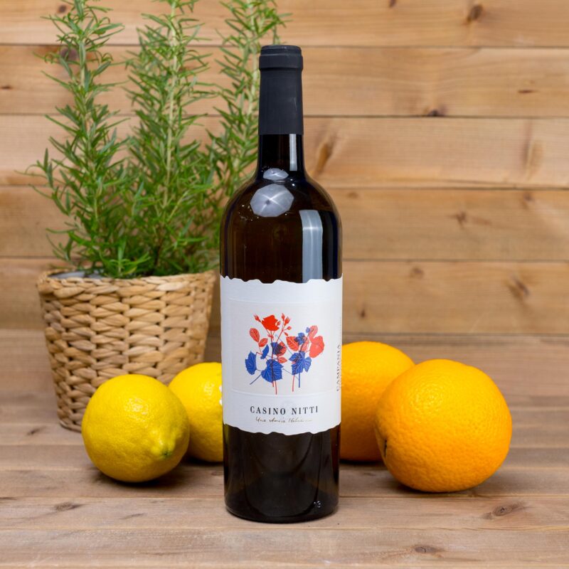 Greco Campania IGP 750ml Casino Nitti